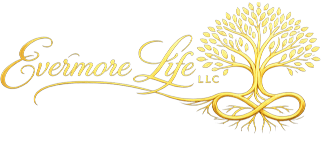 Primary Evermore logo for light surfaces